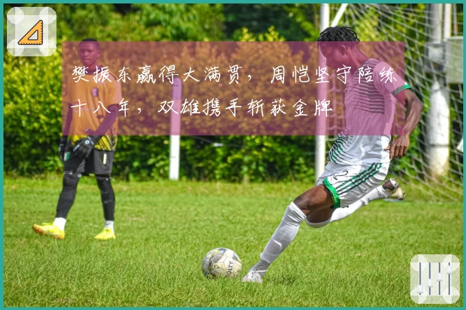 樊振东赢得大满贯，周恺坚守陪练十八年，双雄携手斩获金牌