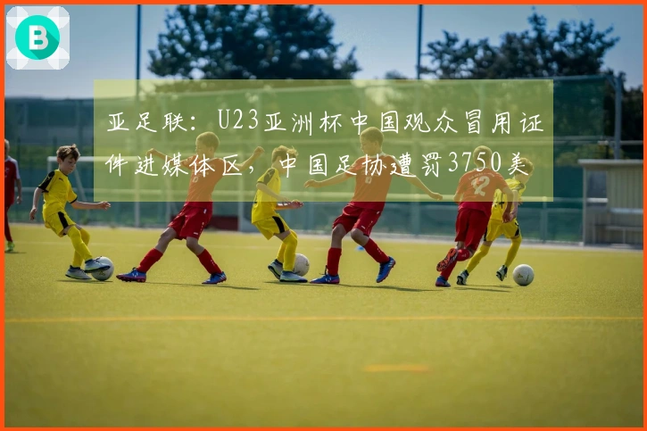 亚足联：U23亚洲杯中国观众冒用证件进媒体区，中国足协遭罚3750美元