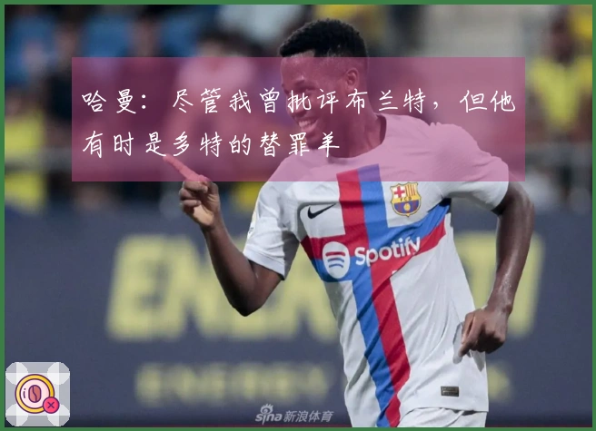 哈曼：尽管我曾批评布兰特，但他有时是多特的替罪羊