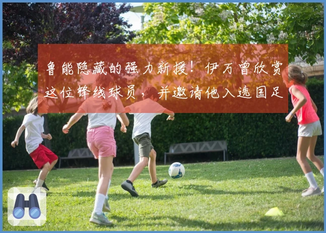 鲁能隐藏的强力新援！伊万曾欣赏这位锋线球员，并邀请他入选国足